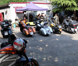 064 fest 086