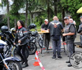 173 fest 228