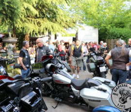 259 fest 331