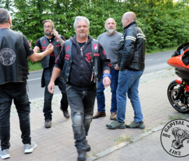 294 fest 381
