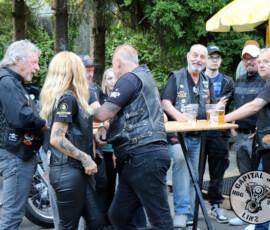 296 fest 383