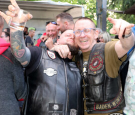 359 fest 480